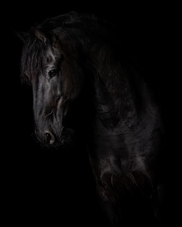058A3659edit