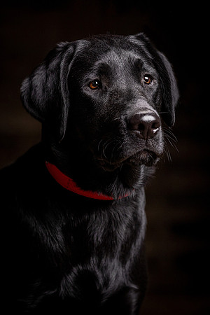 058A6176 copy